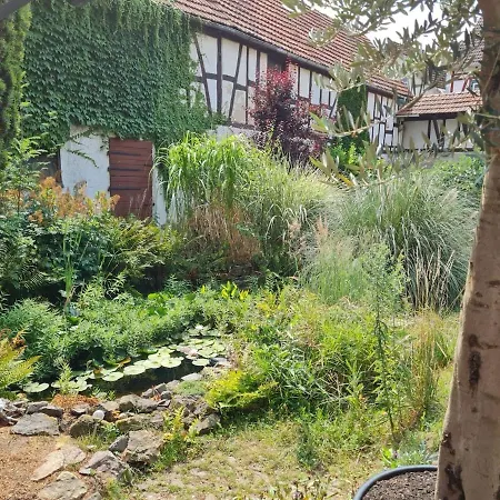 Cozy Half-timbered House In Beautiful Courtyard Eberstadt